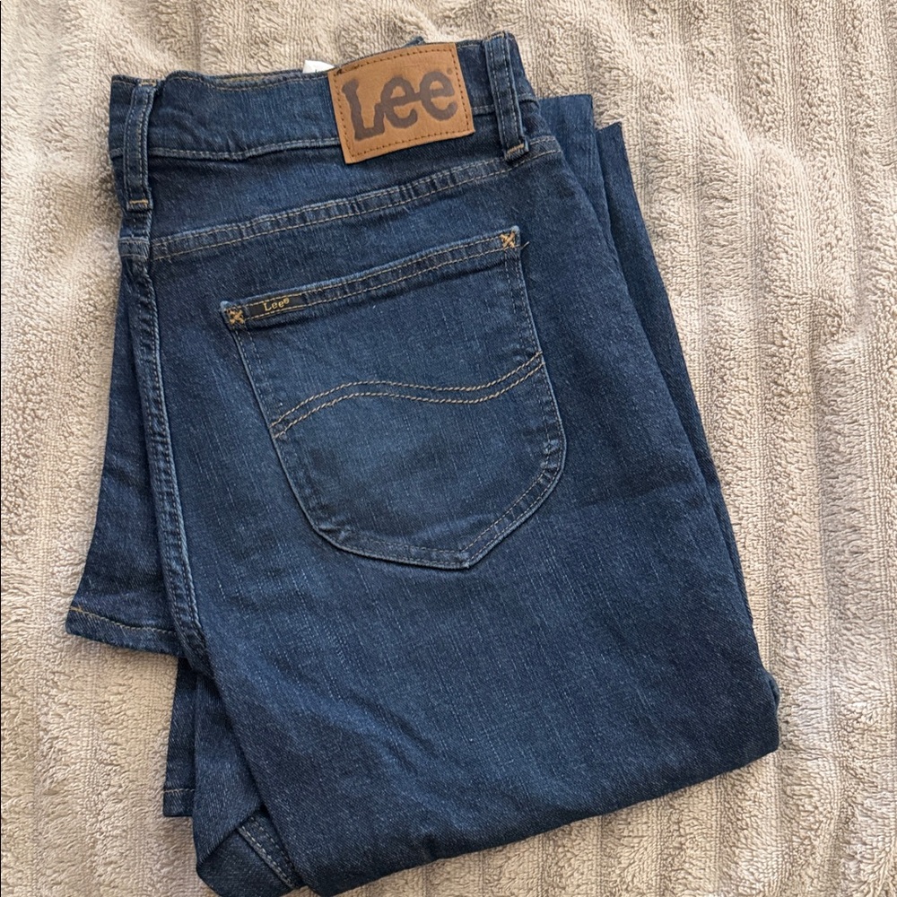 Lee Men's Dark Denim Straight Jeans